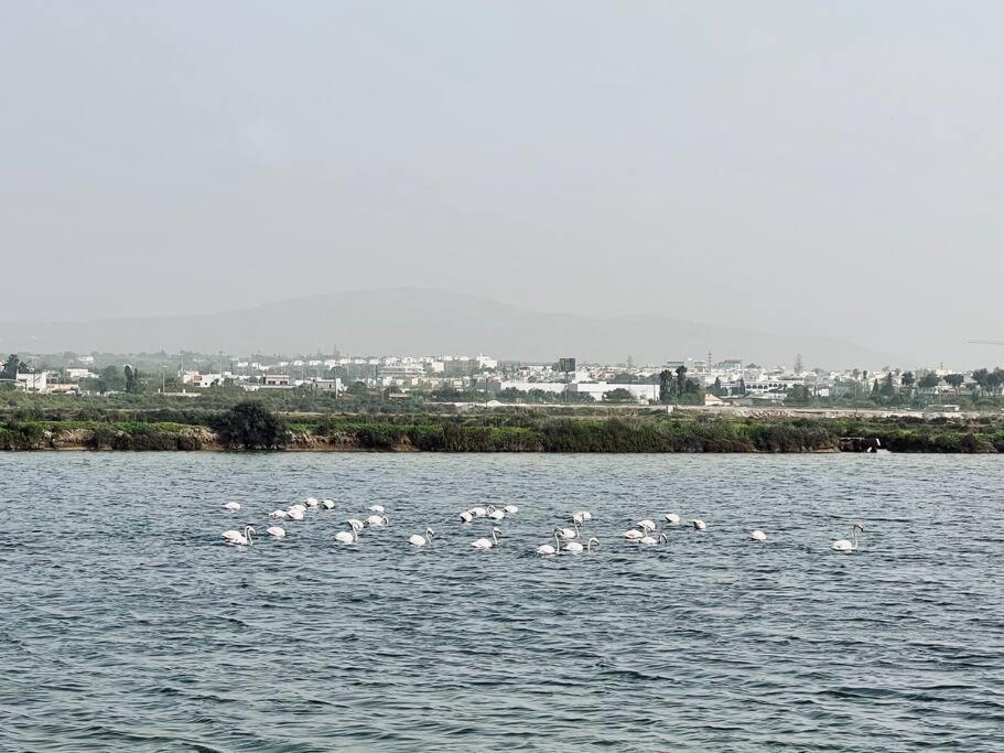 Olhao 3 Bedroom With Rooftop Pool, Marina Village Exterior foto